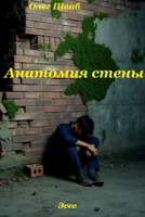 Обложка произведения Анатомия стены.