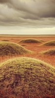 Обложка произведения Мука на степных курганах