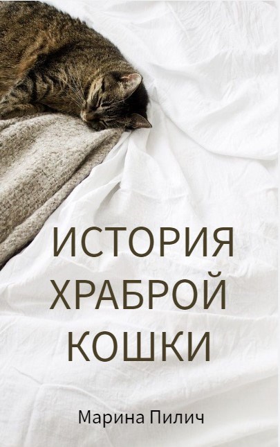 Обложка произведения История храброй кошки