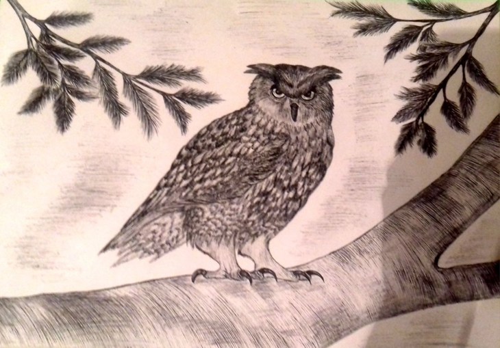 Иллюстрация