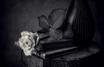 Обложка произведения На страницах книг