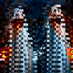 Призрак водитель