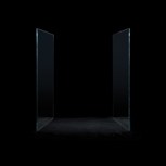 Обложка произведения О природе отражений