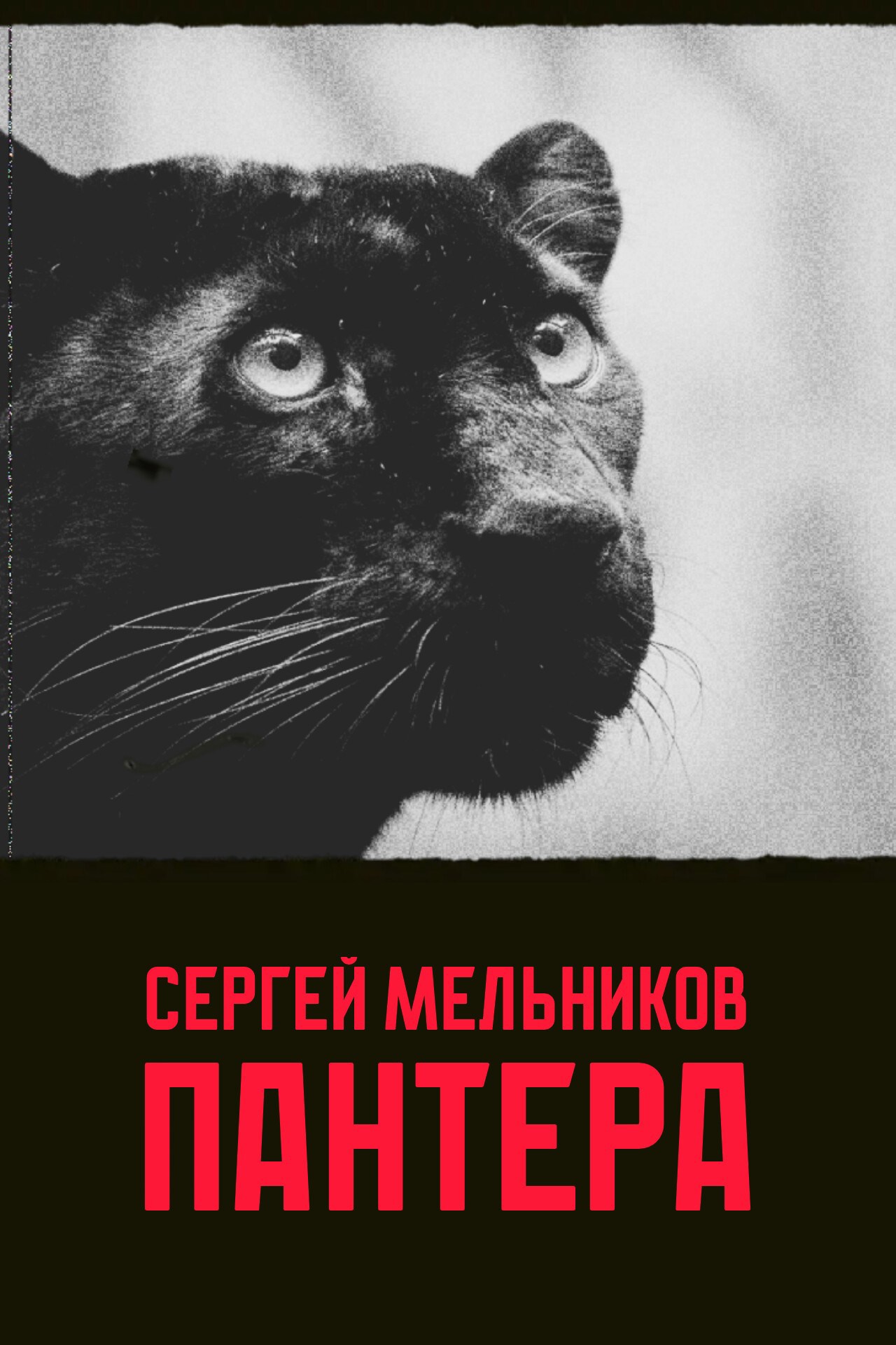 Обложка произведения Пантера