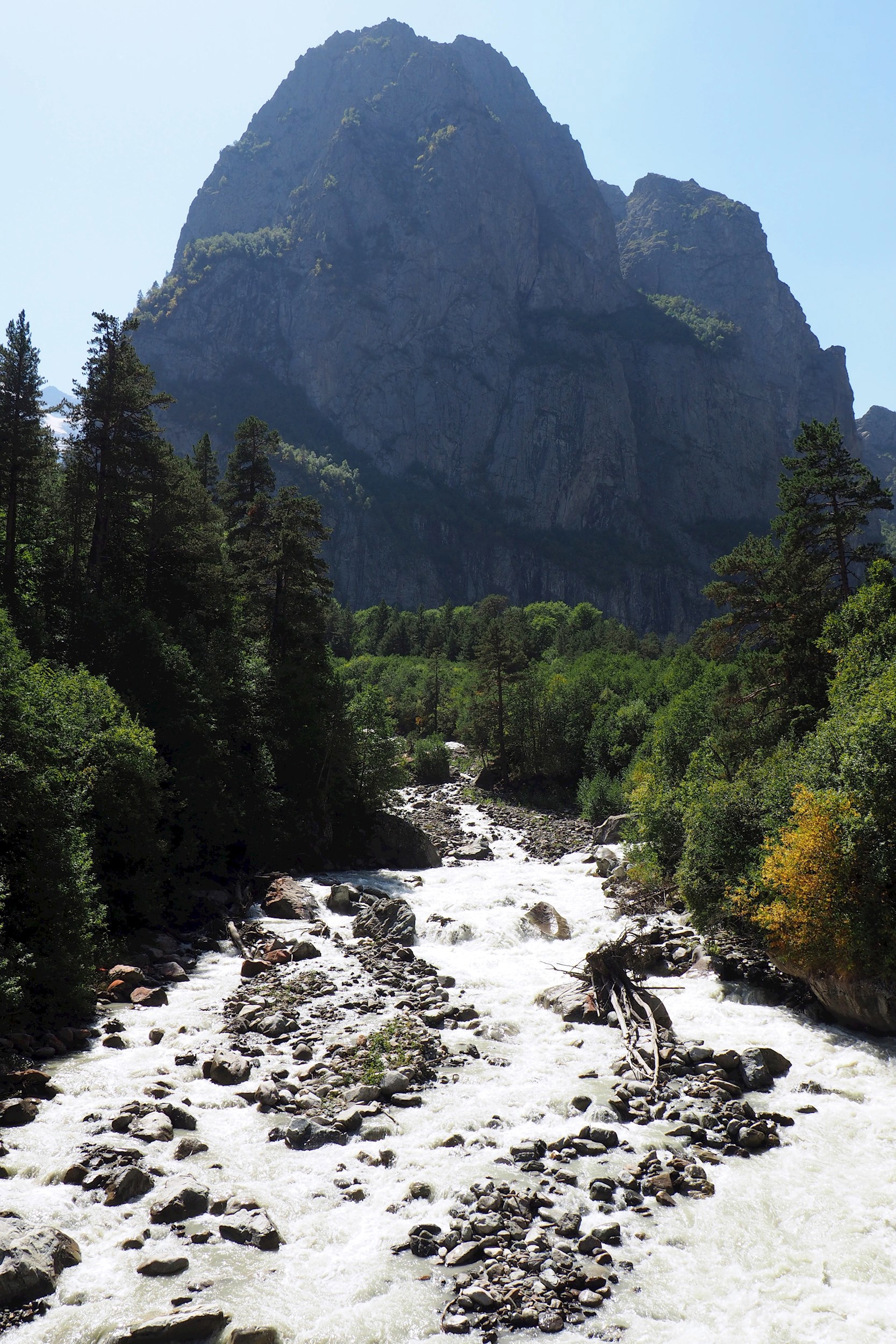 Обложка произведения Смысл бытия