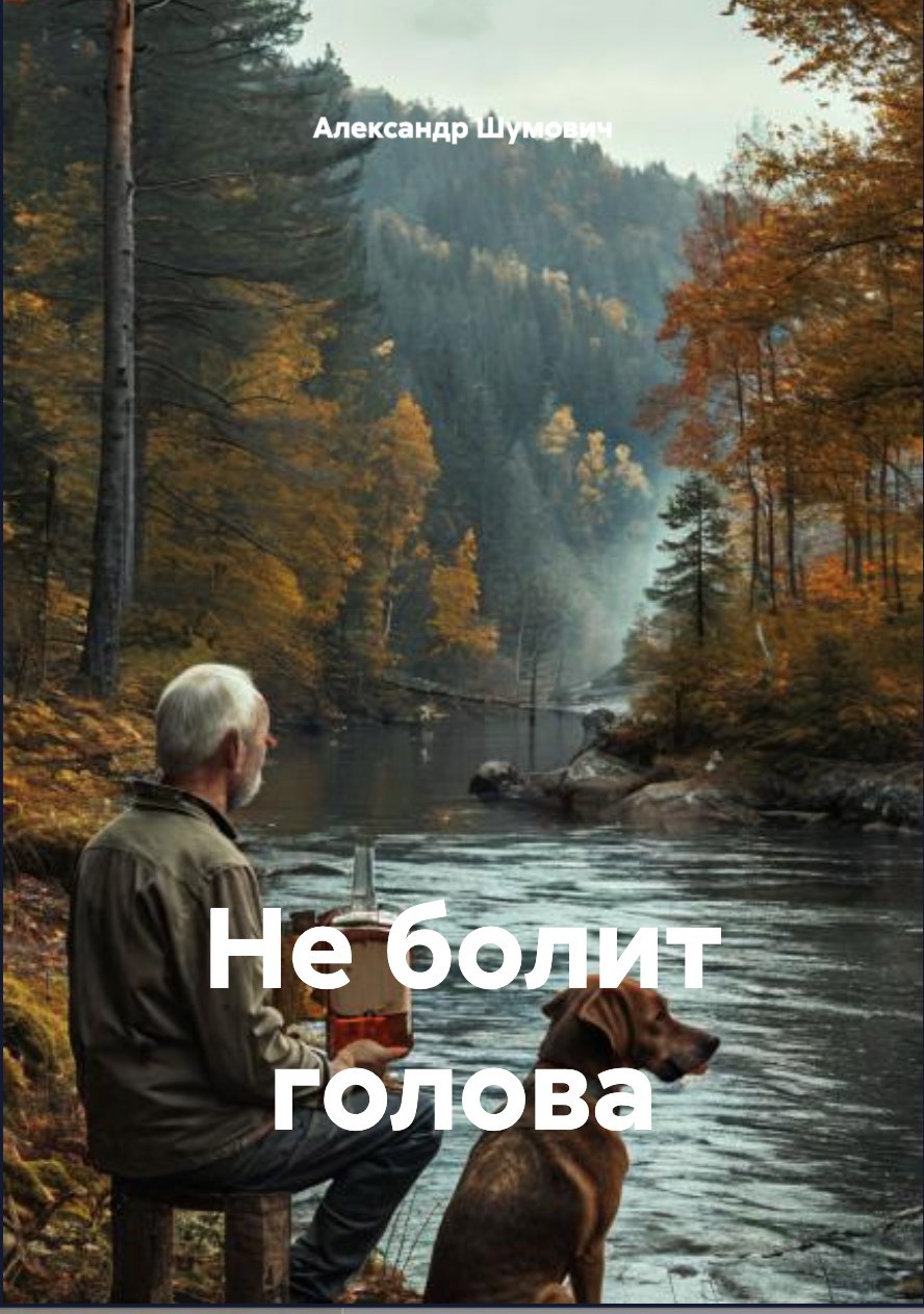 Обложка произведения НЕ БОЛИТ ГОЛОВА