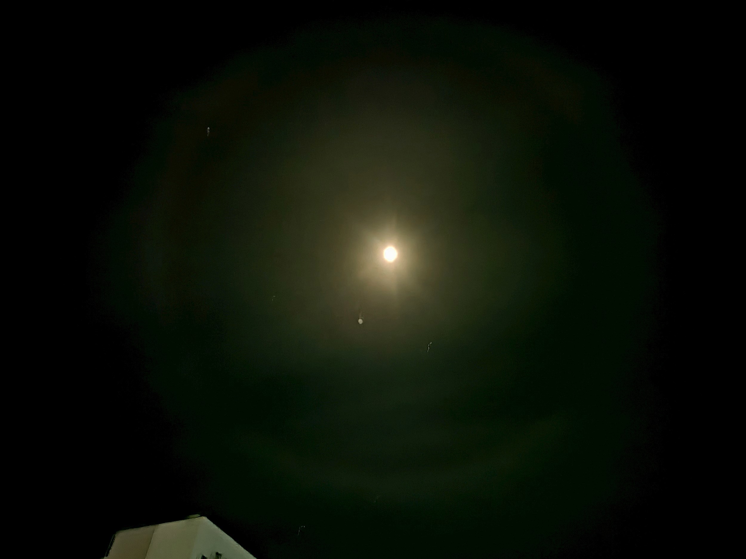 Обложка произведения Колпак