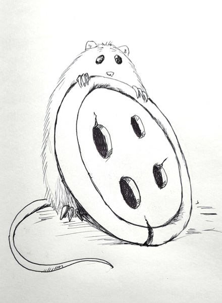 Иллюстрация