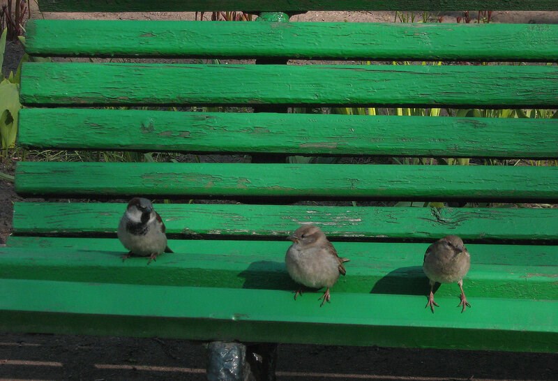 Обложка произведения На лавочке