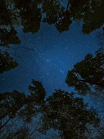 Обложка произведения Виифр/Зазеркалье.