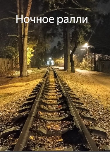 Обложка произведения Ночное ралли