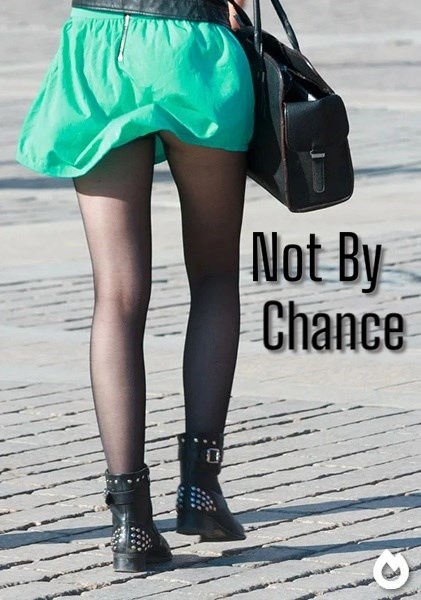 Обложка книги «Не Случайно»