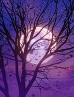 Обложка произведения Спящая красавица.