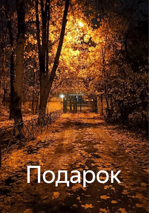 Обложка произведения Подарок