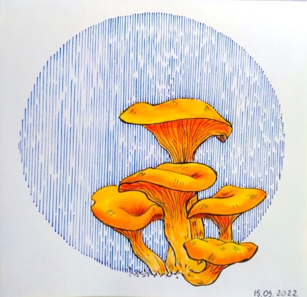 Иллюстрация