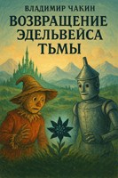 Обложка произведения Возвращение Эдельвейса Тьмы