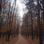 Обложка произведения Руины Времени