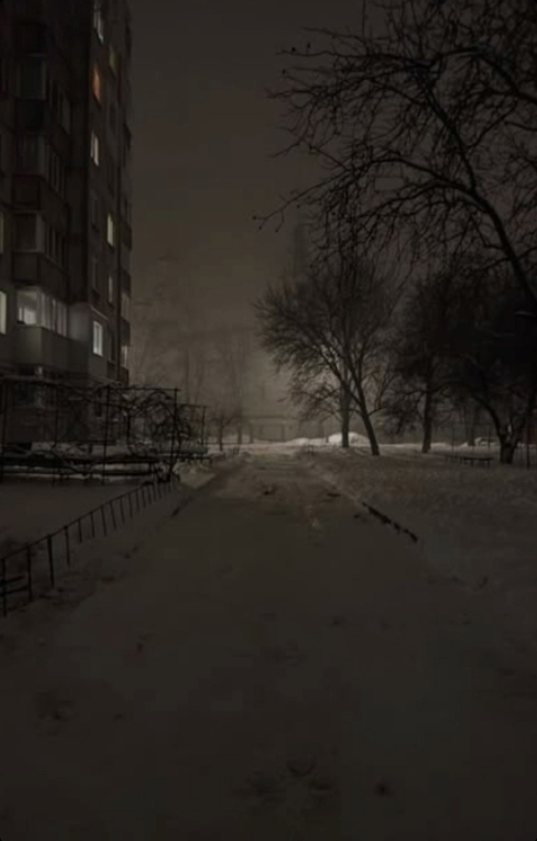 Обложка произведения Той ночью...