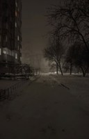 Обложка произведения Той ночью...