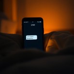 Обложка произведения «Пережитая ночь»