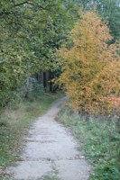 Обложка произведения Осеннего сумрака страж