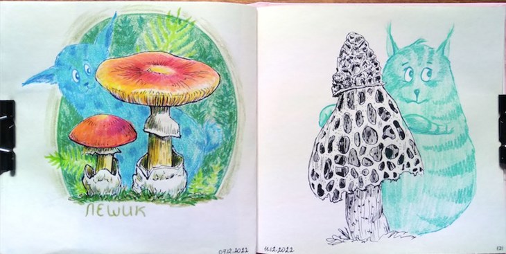 Иллюстрация