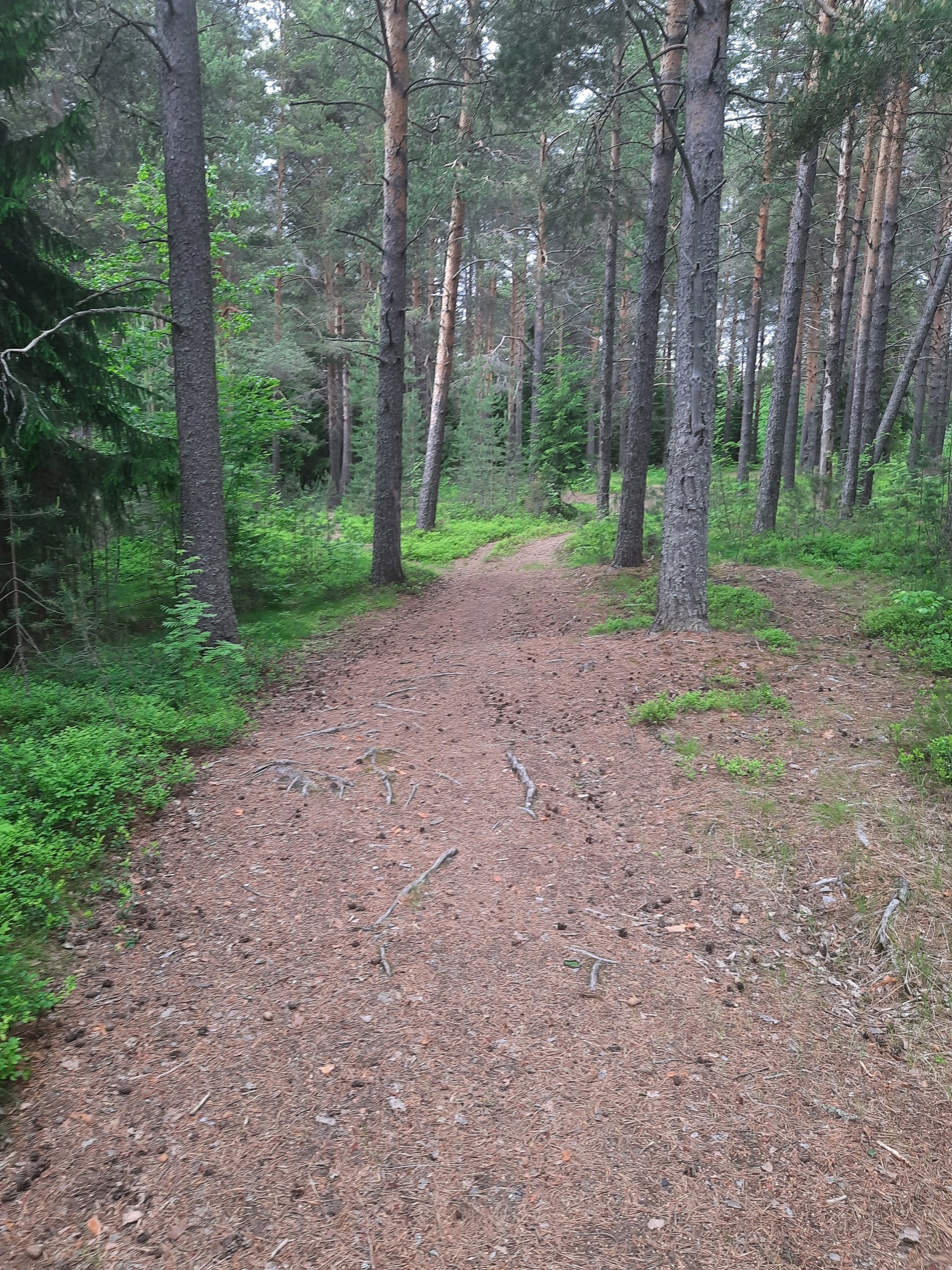 Обложка книги «Особые места»