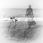 Обложка произведения Душа