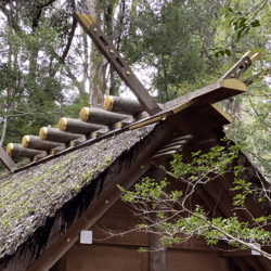 глубинное здание храма...