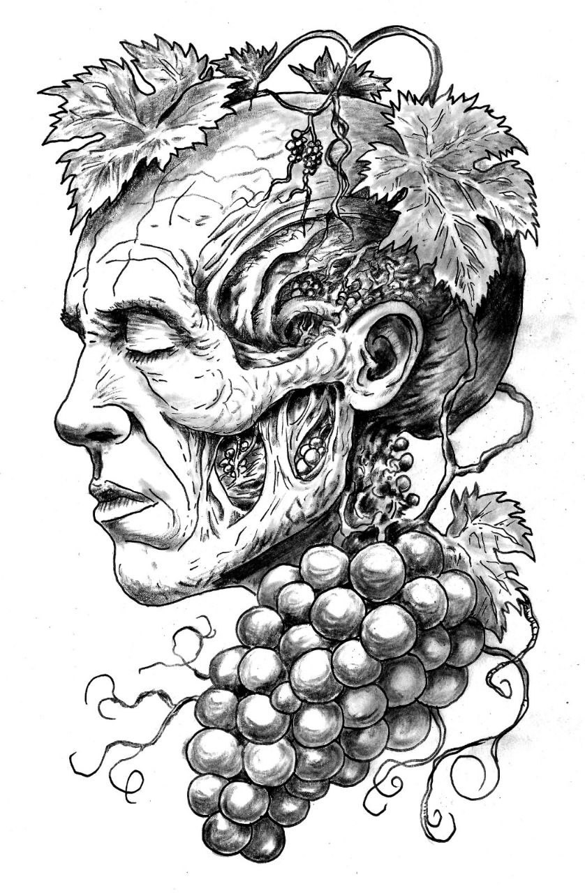 Обложка произведения Виноградная косточка