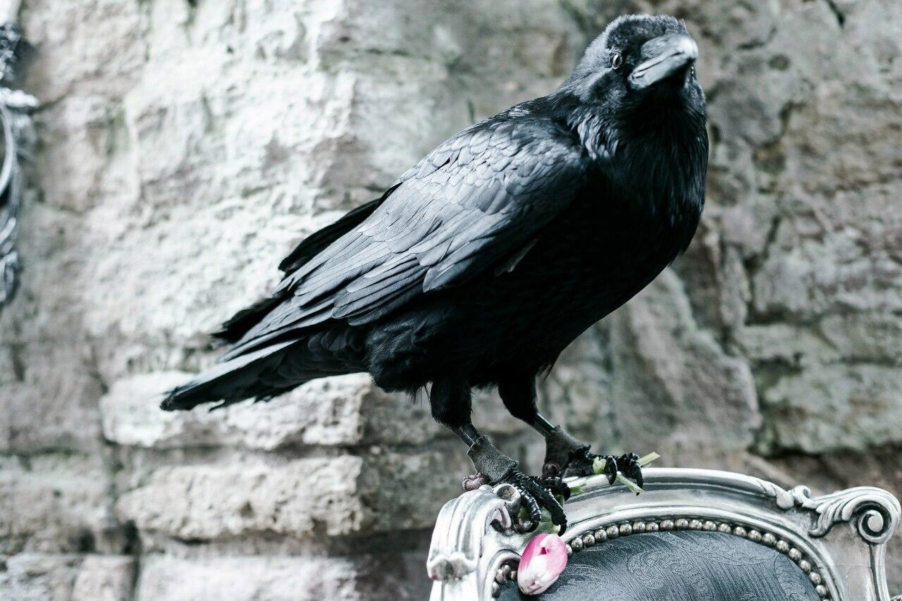 Обложка произведения Когда-нибудь...