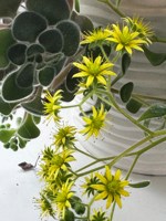 Обложка произведения Жить непросто