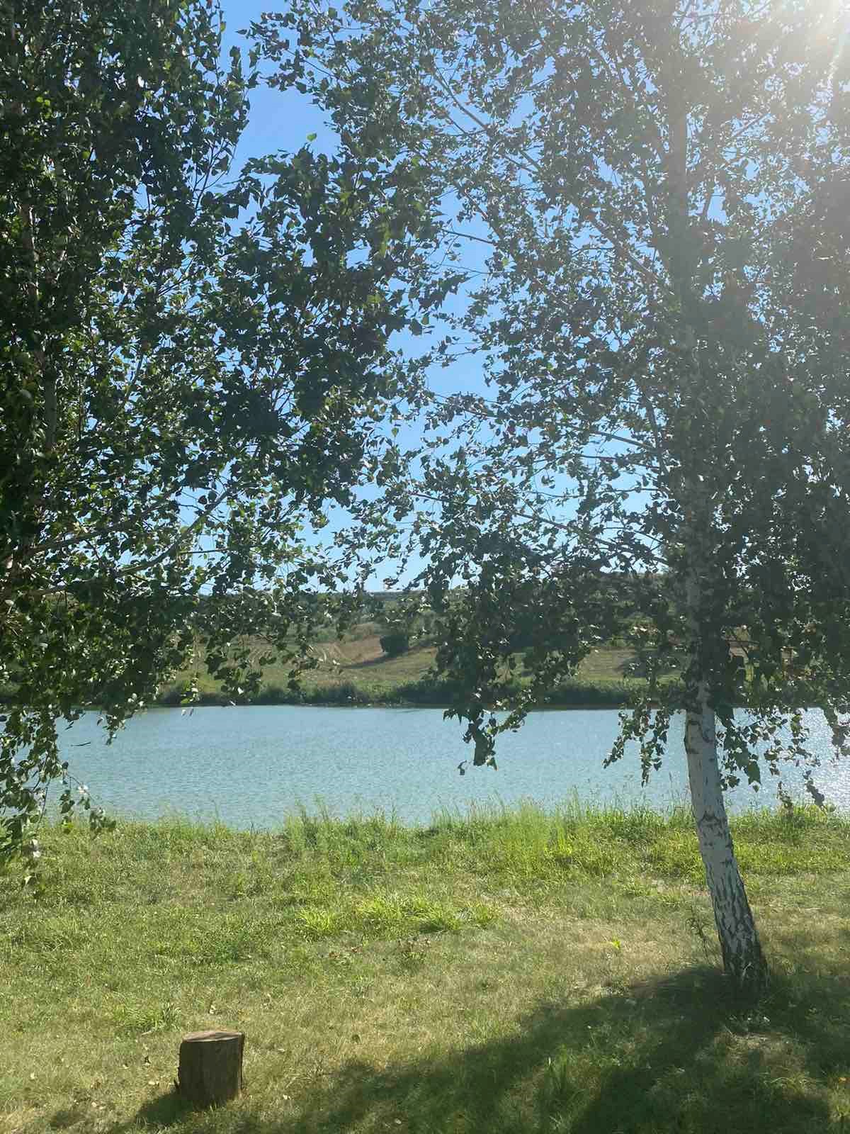 Обложка произведения Где рождается сила