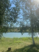 Обложка произведения Где рождается сила