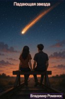 Обложка произведения Падающая звезда