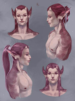 Шань и Дайн Пуни