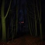 Обложка произведения Долг Олвина