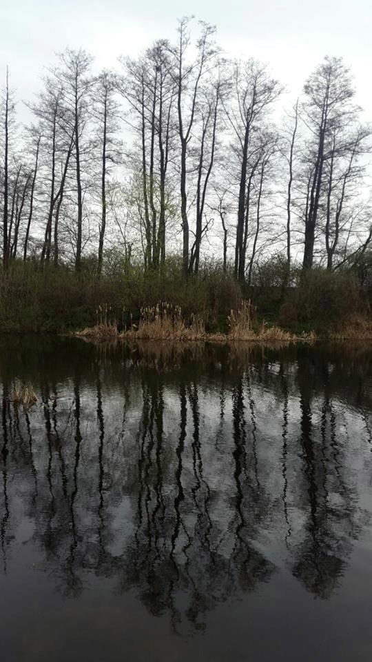 Обложка произведения Светлые и тёмные гости