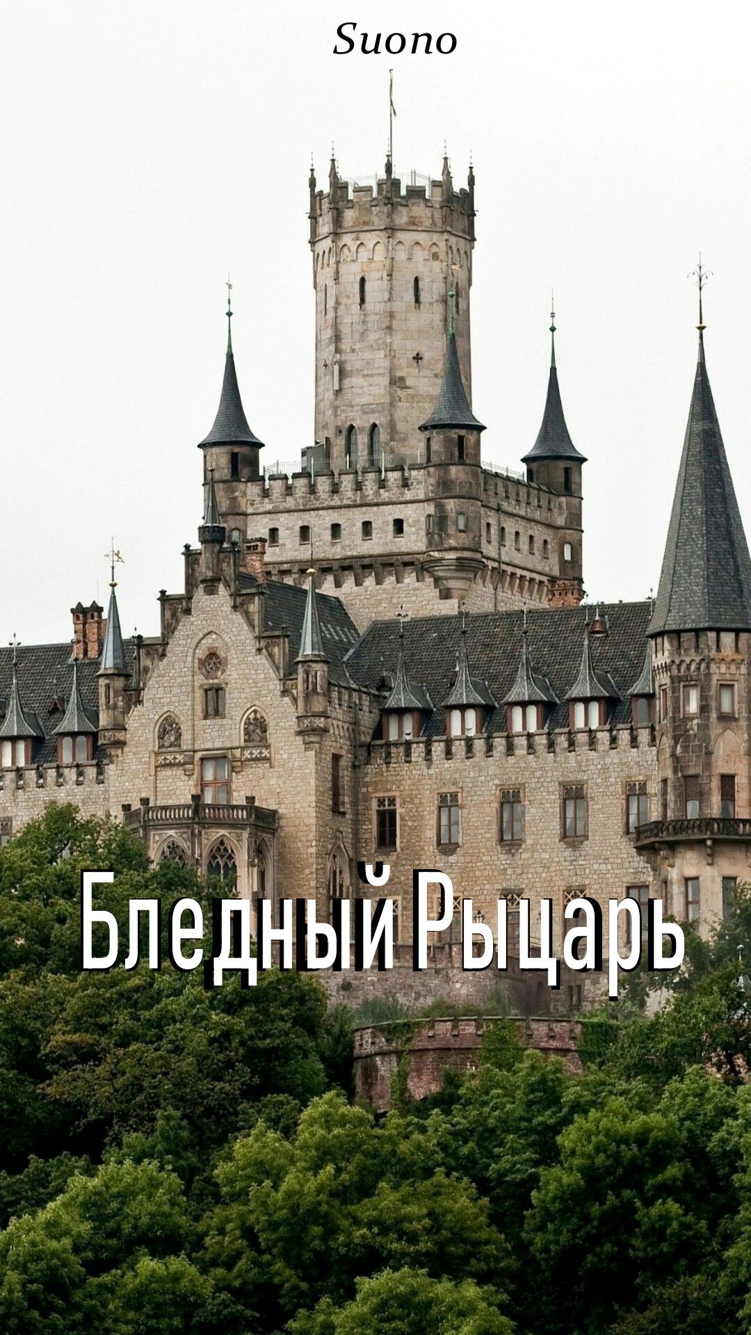 Обложка книги «Бледный Рыцарь»