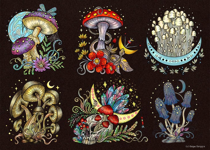 Иллюстрация