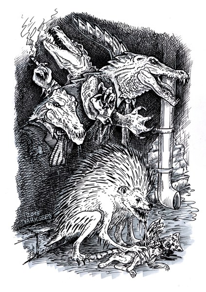 Иллюстрация