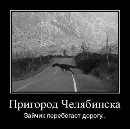 Обложка произведения Разрешение А38