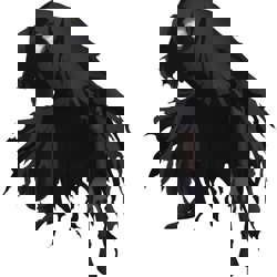 Ассасин/Хассан Ибн Саббах