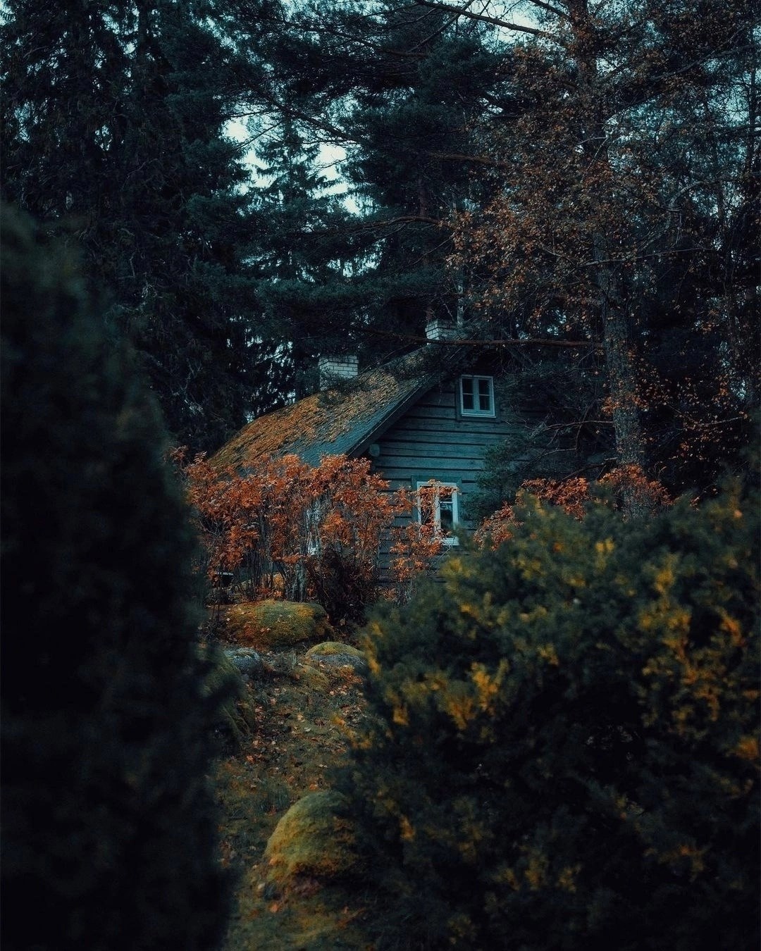 Обложка произведения Сказания Гидроземья. Том 1