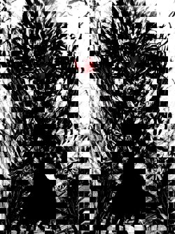 Слуга Авенджер/Ангра-М...