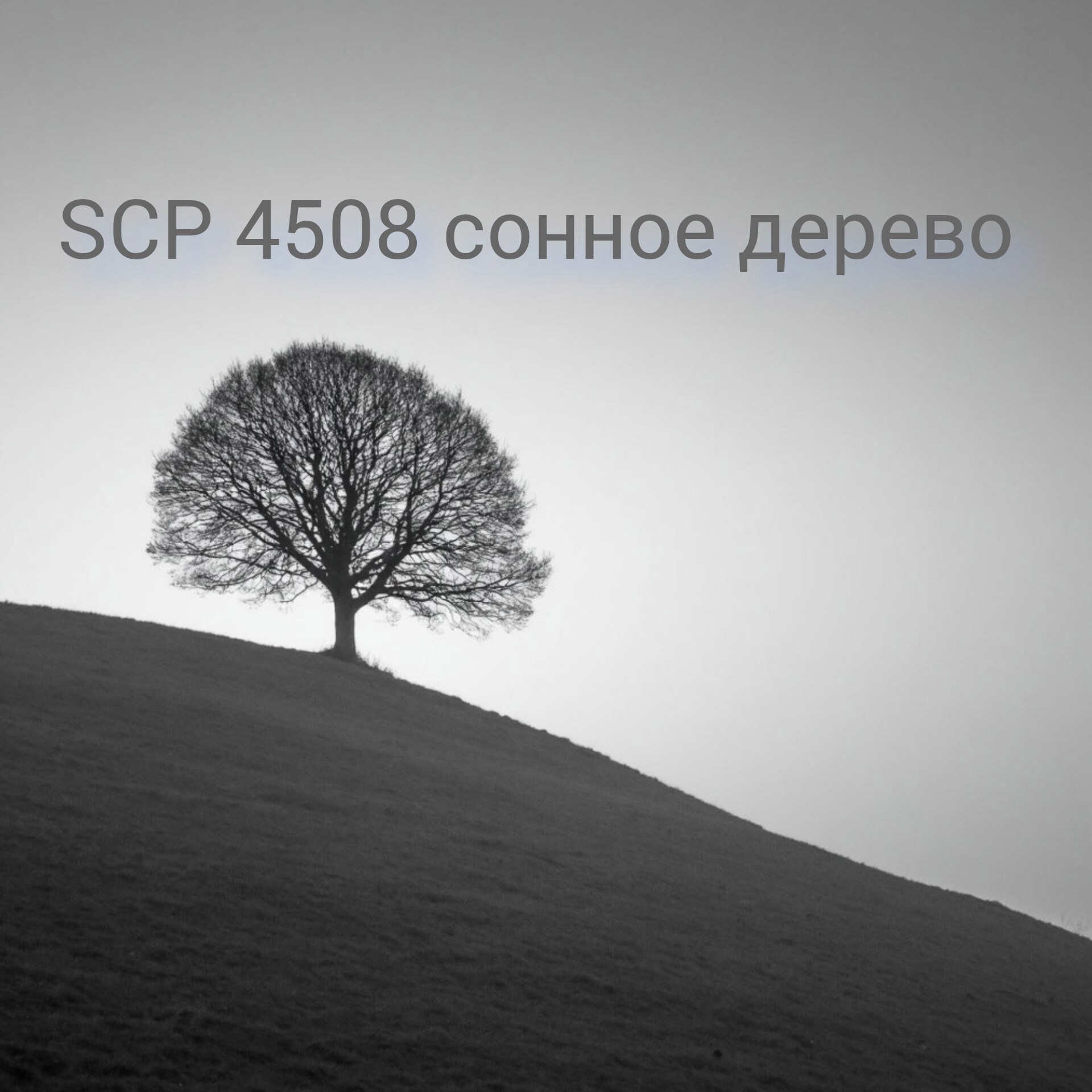 Обложка произведения SCP 4508 сонное дерево