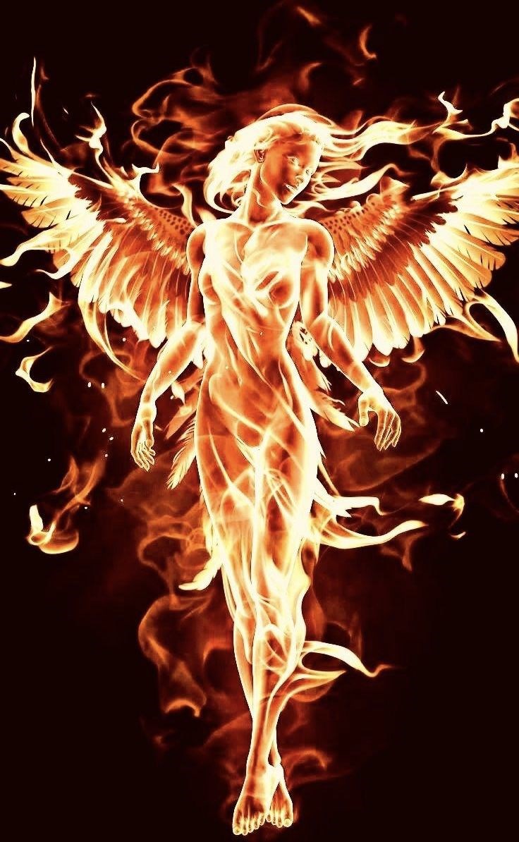 Обложка произведения Феникс сердца