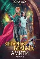 Обложка произведения Янтарная ведьма Амити