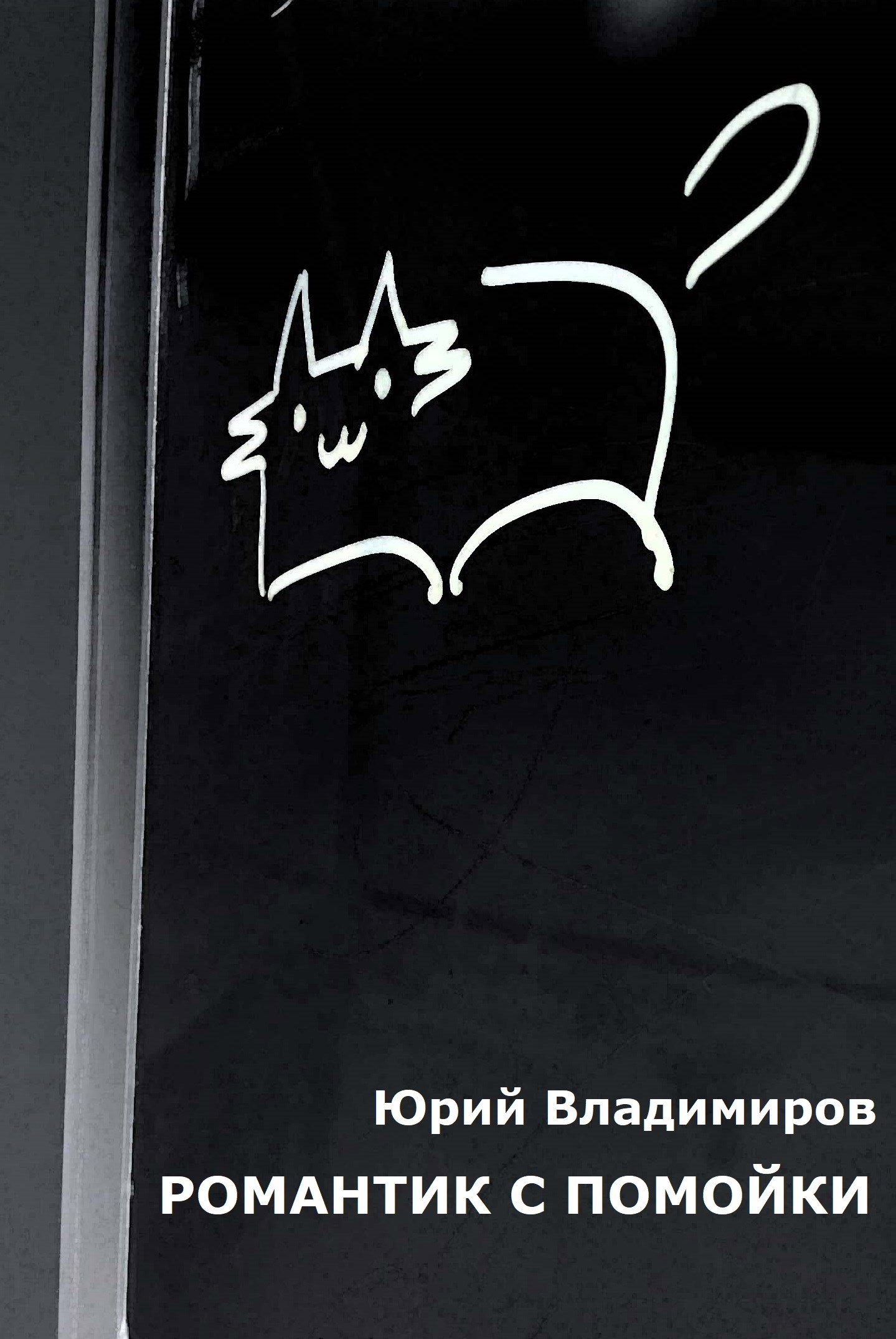 Обложка произведения Романтик с помойки