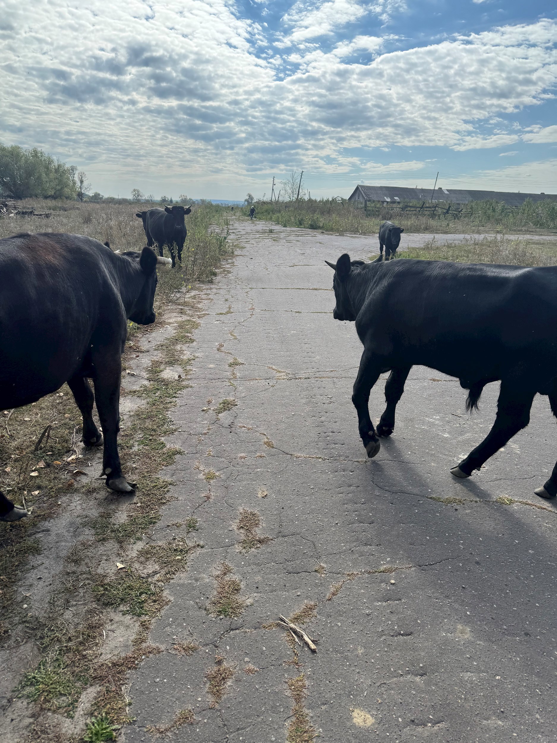 Обложка произведения Пожиратель